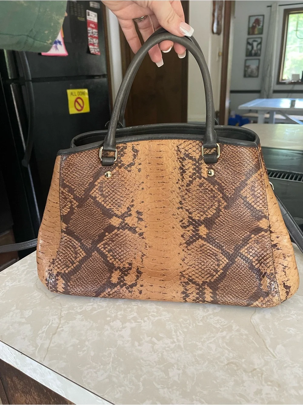 Coach Snake Margo Carryall Crossbody Shoulder Bag F35275 (180)